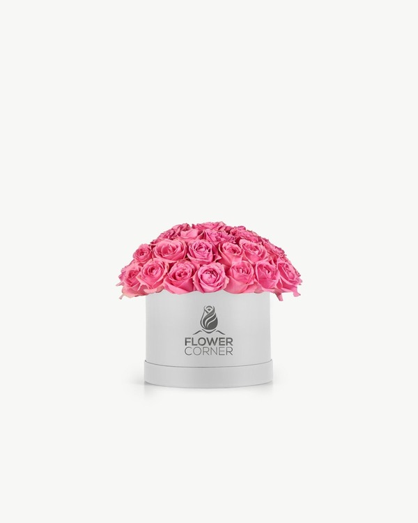 Blush Rose Dome