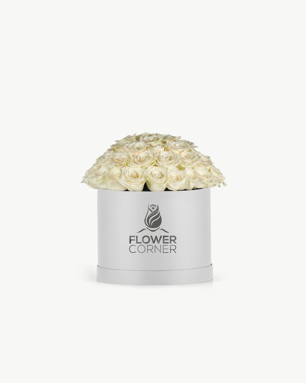 Ivory Rose Dome