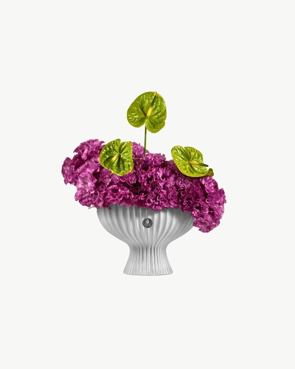 Amethyst Anthurium Vase