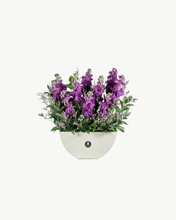Violet Whisper Vase