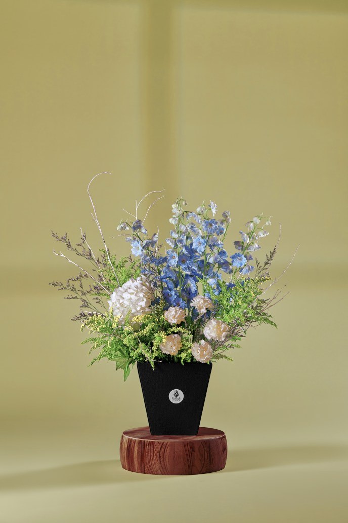 Delphinium Dream Box