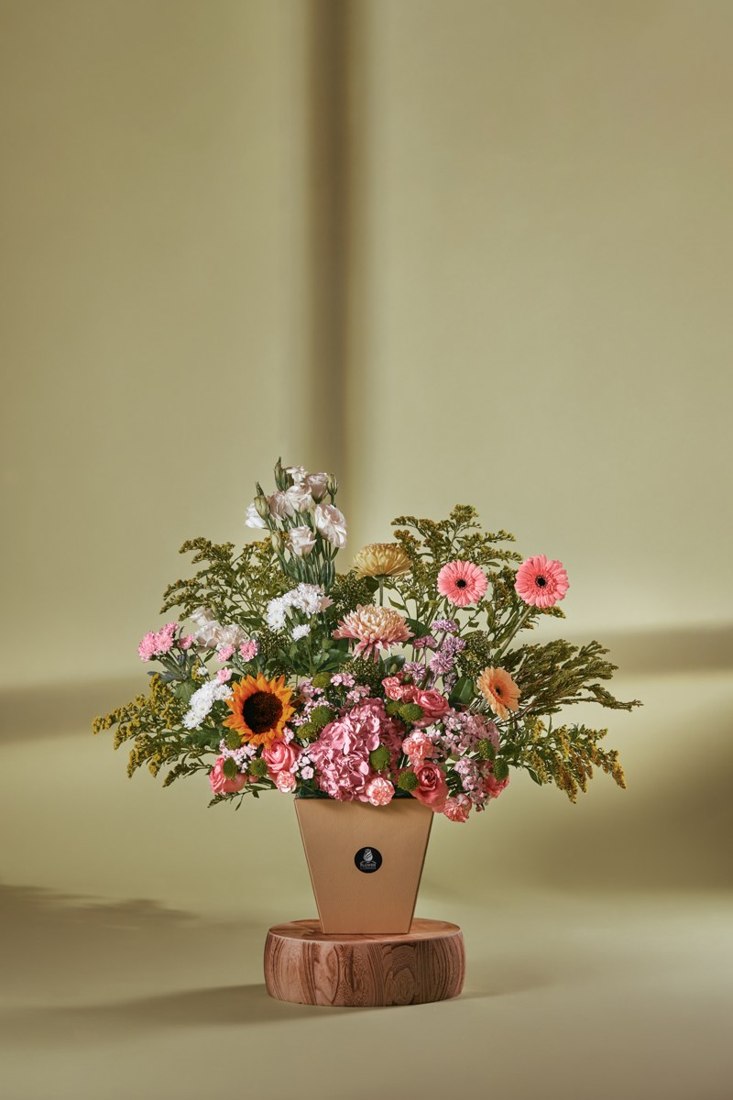 Peach & Pink Serenade