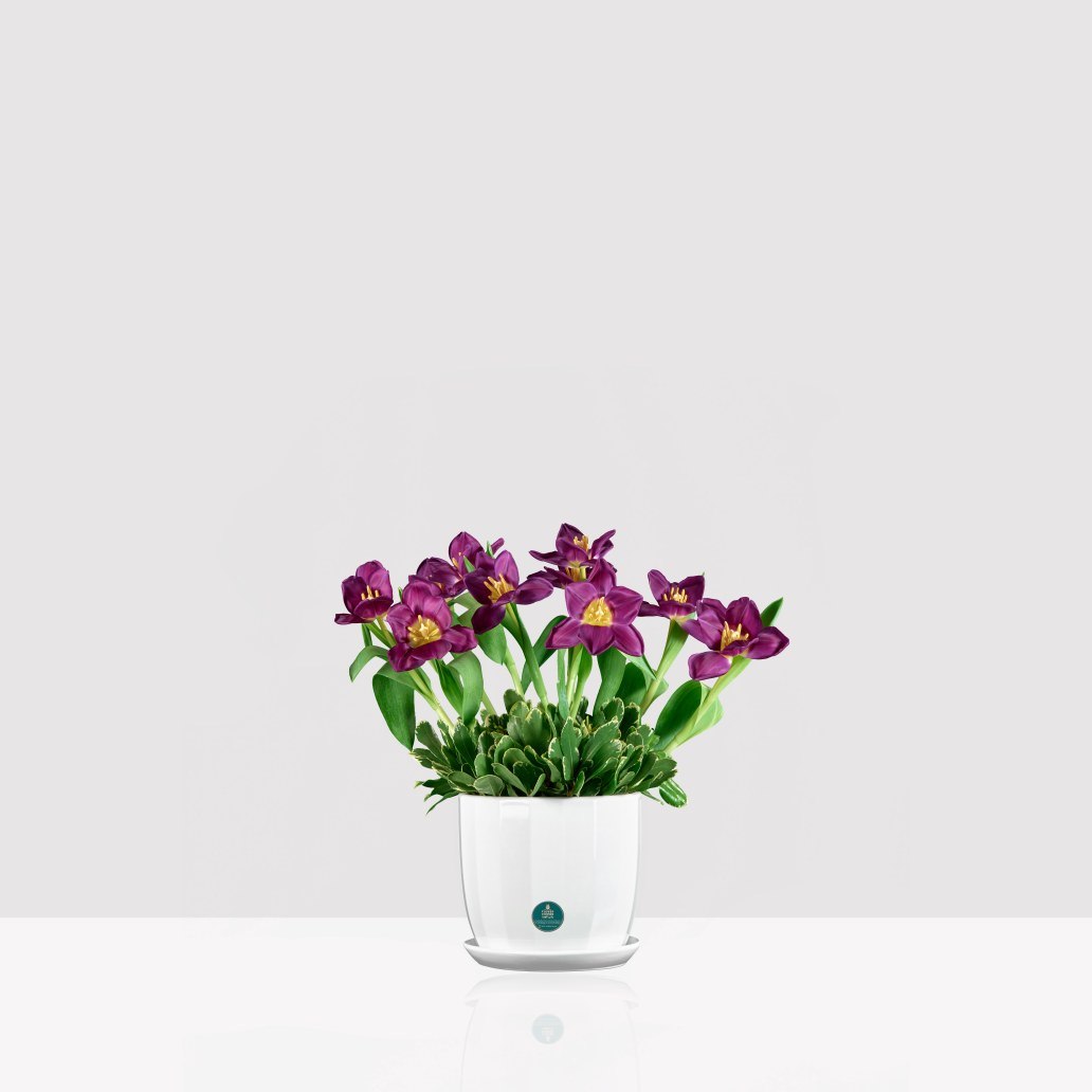 Tulip Charm Vase