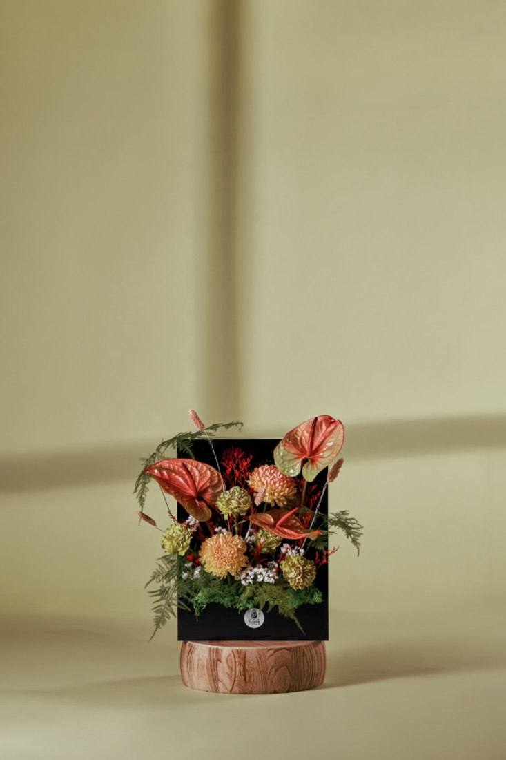 Crimson Elegance Window
