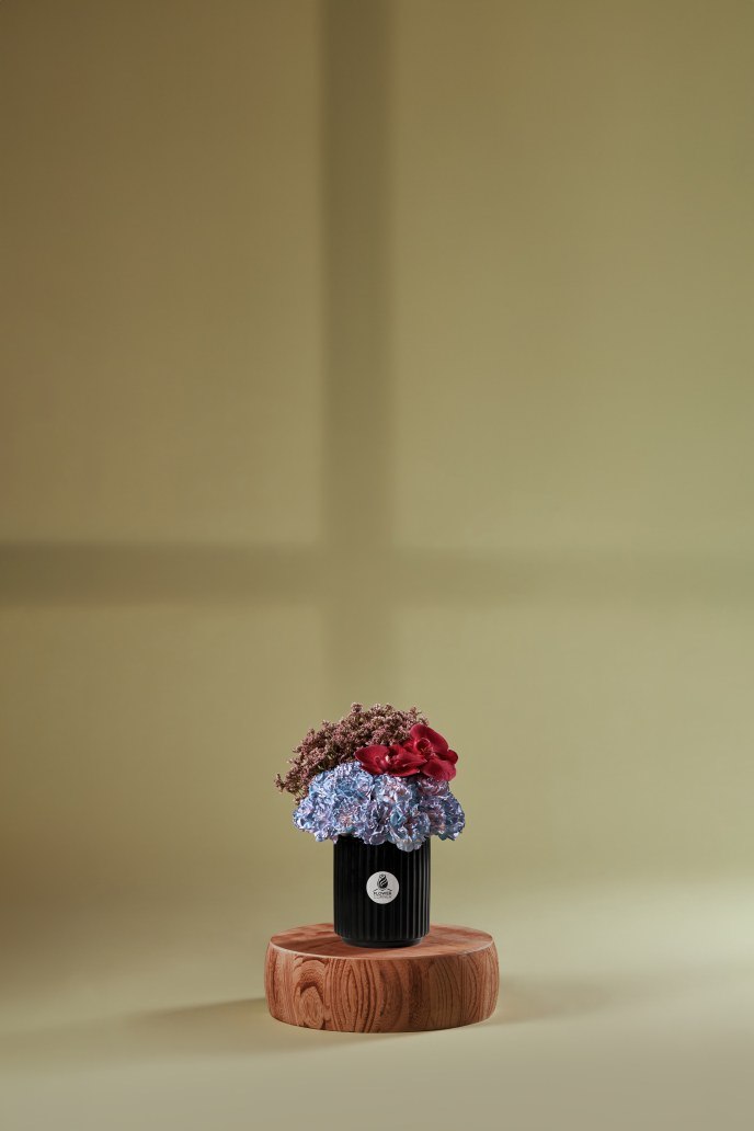 Limonium Whisper