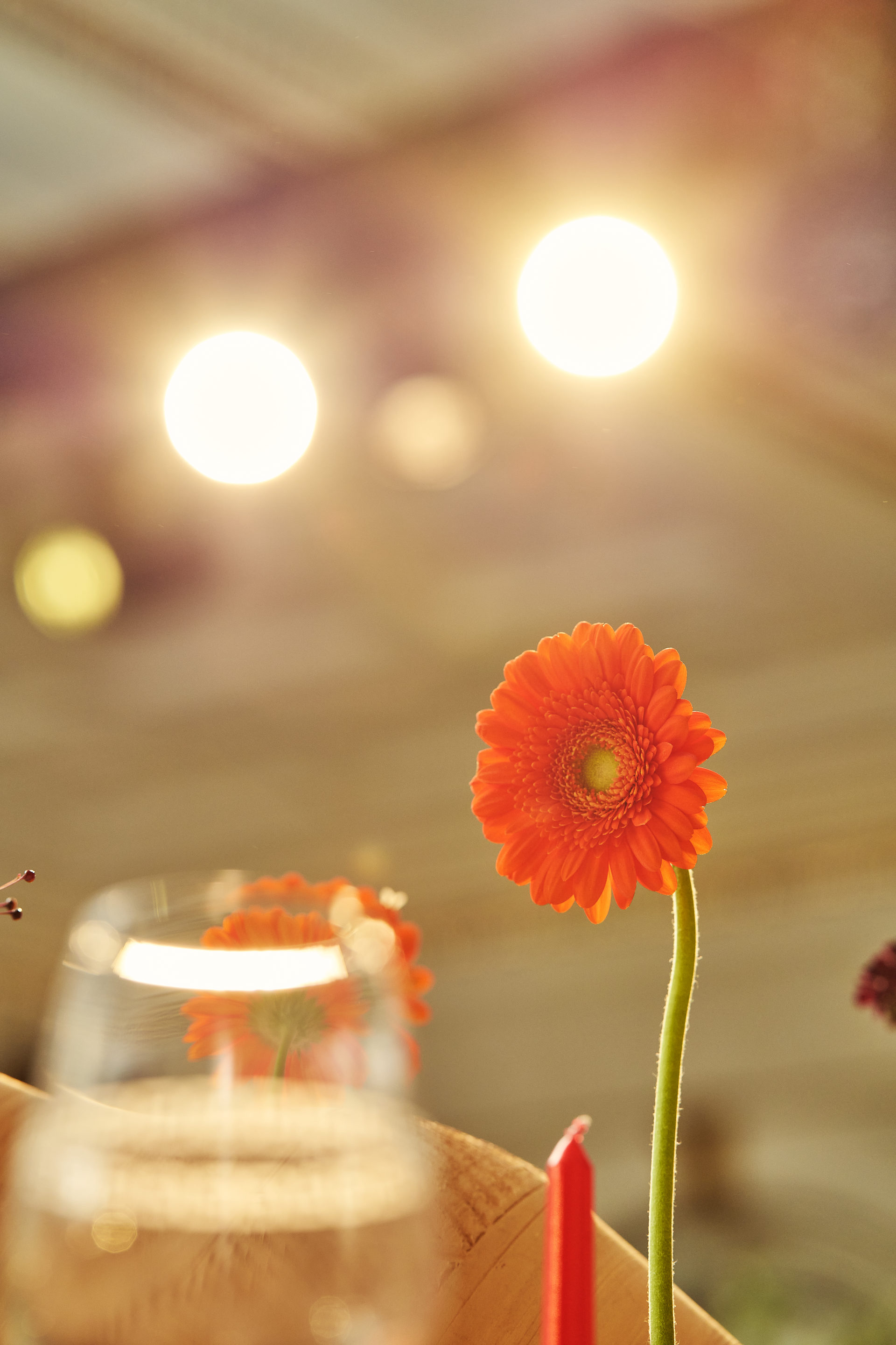 Fresh floral styling at a Dubai celebration, by Flower Corner — photo 170