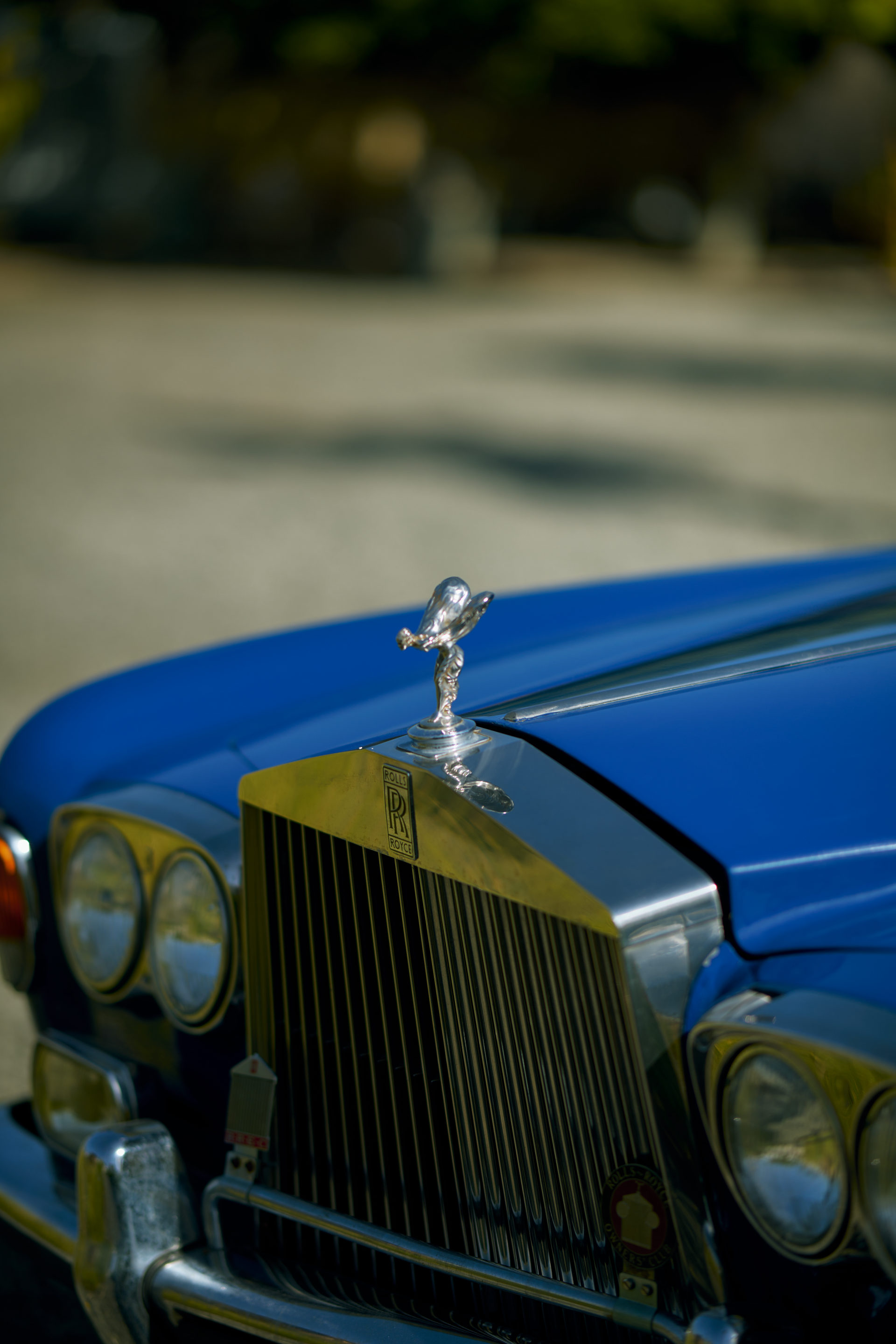 Flower Corner decorated classic wedding car — DSC_0090