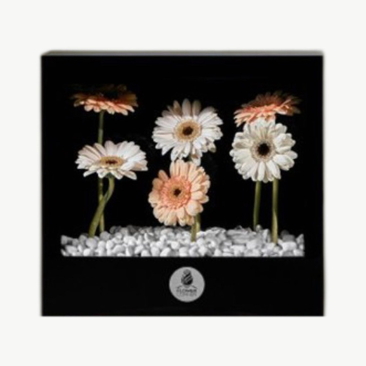 Autumn Flower Frame