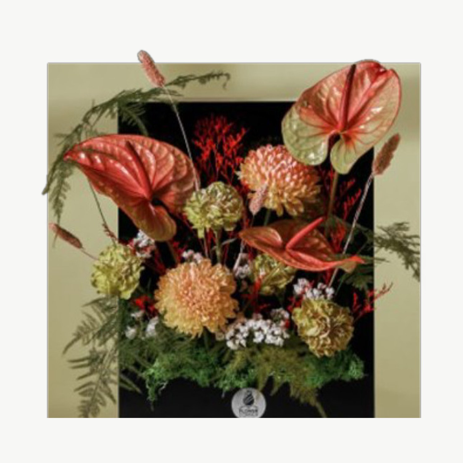 Coral Anthurium Box
