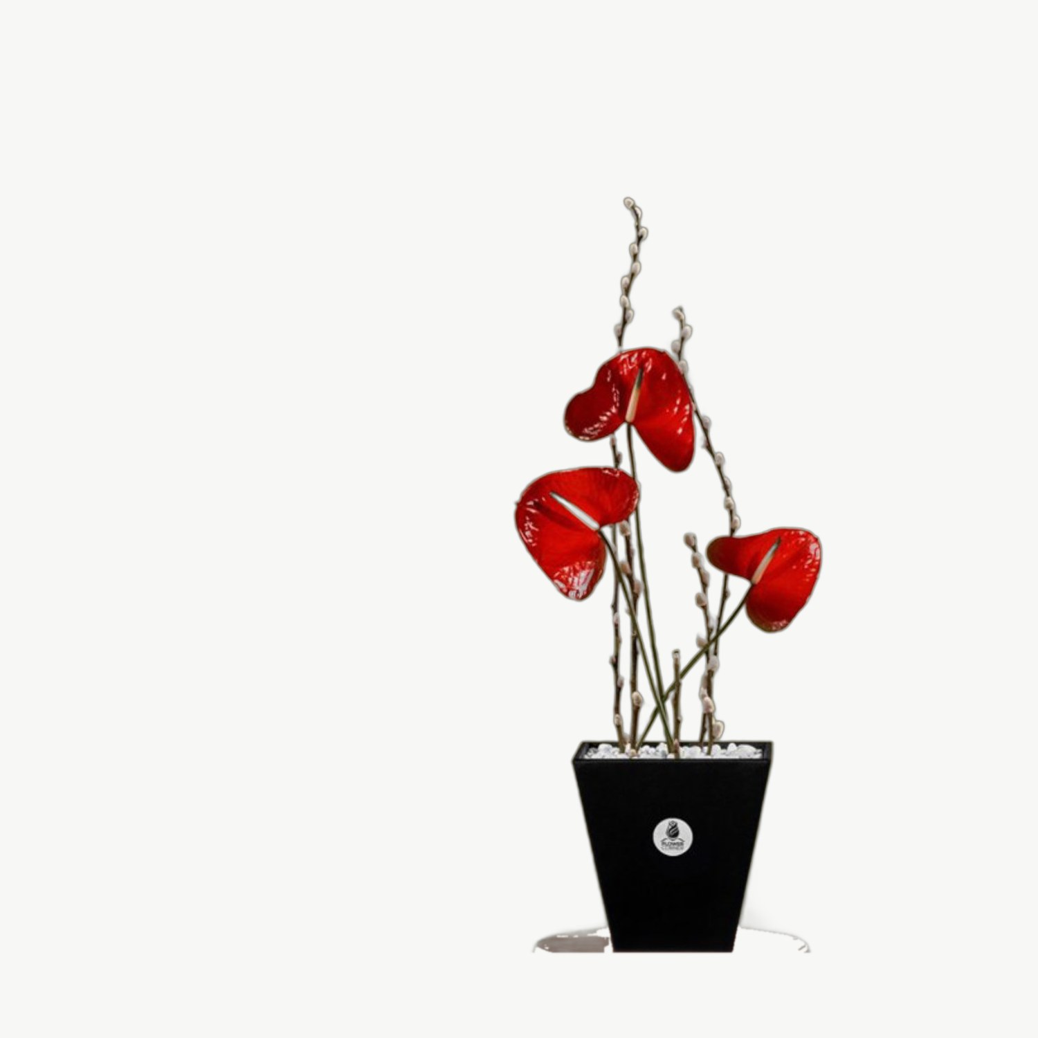 Red Anthurium Vase