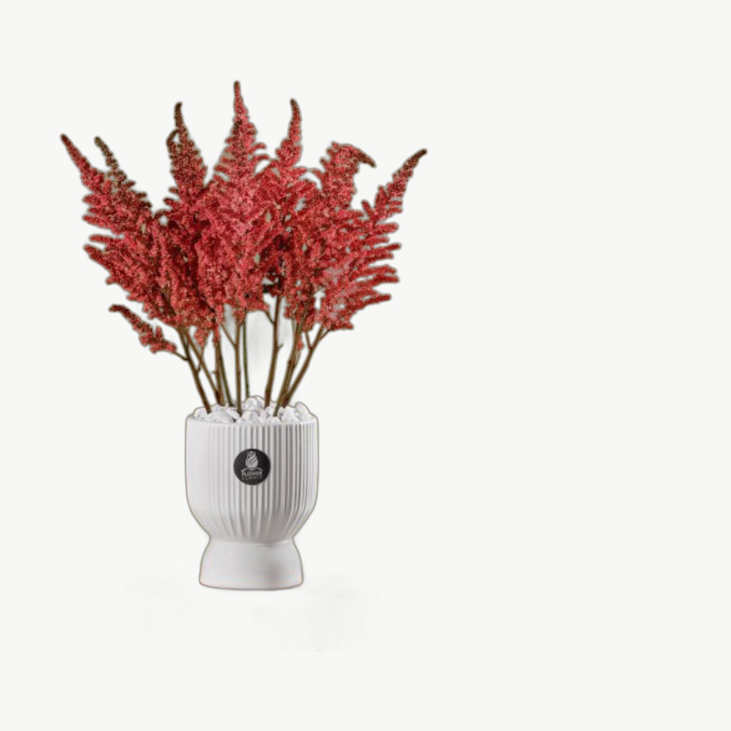 Red Dried Vase
