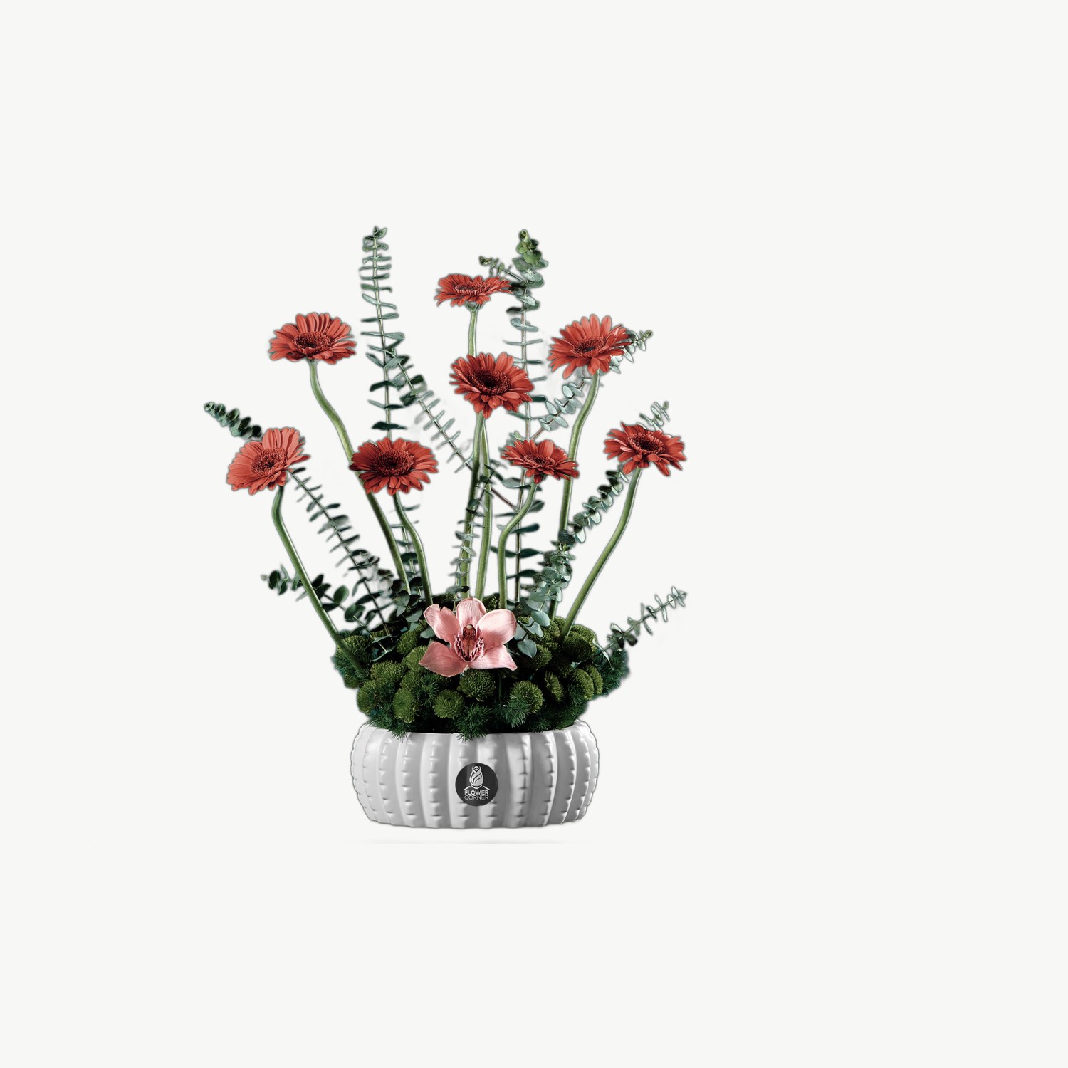 Orange Gerbera Vase