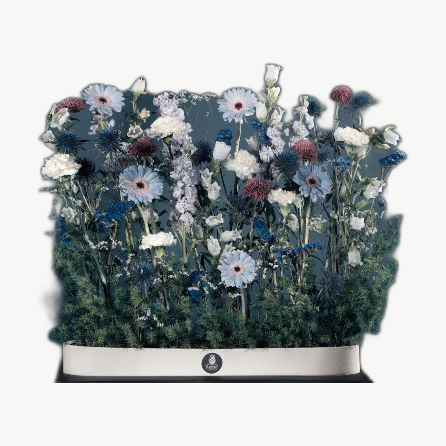 White & Blue Box