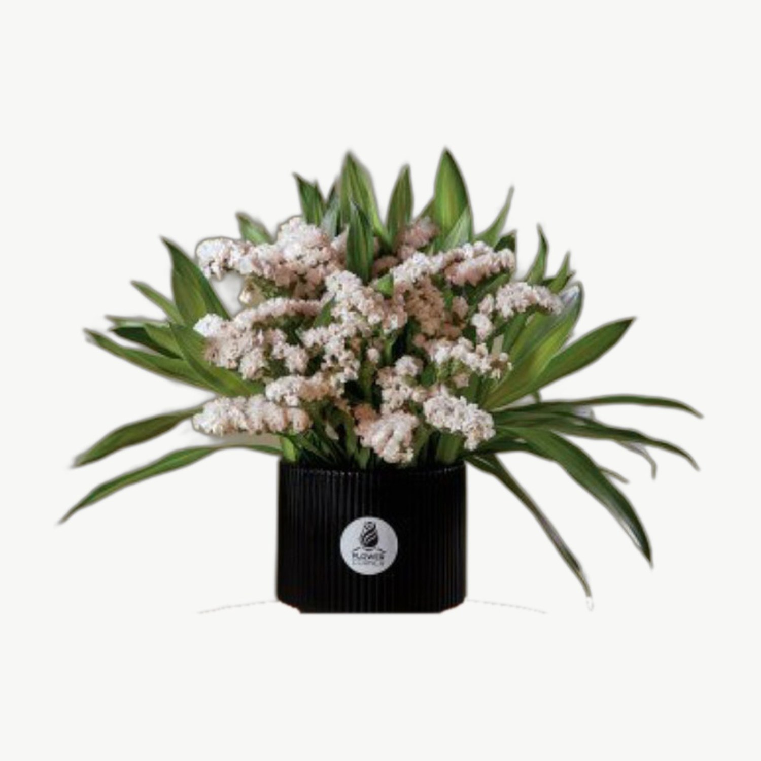 Little White Box
