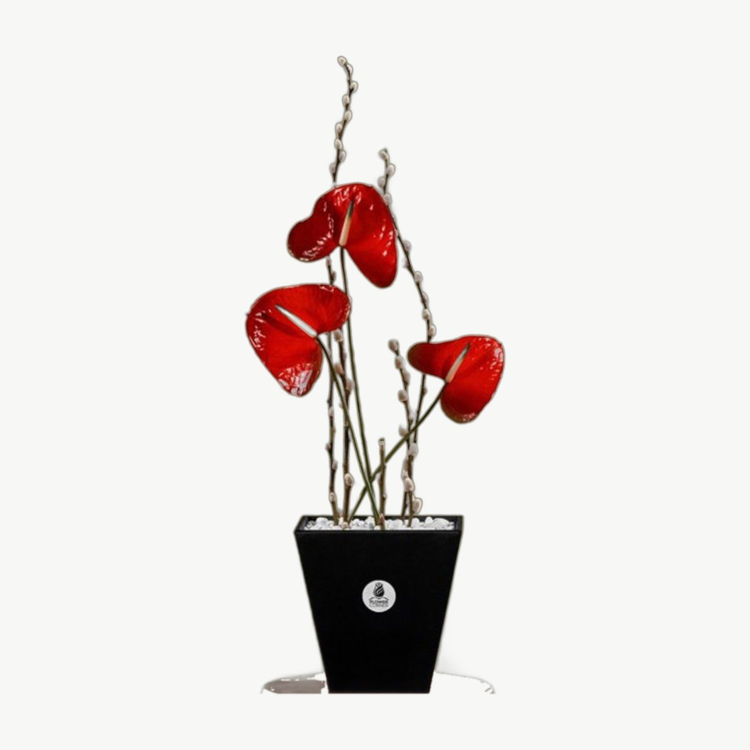 Red Anthurium Vase