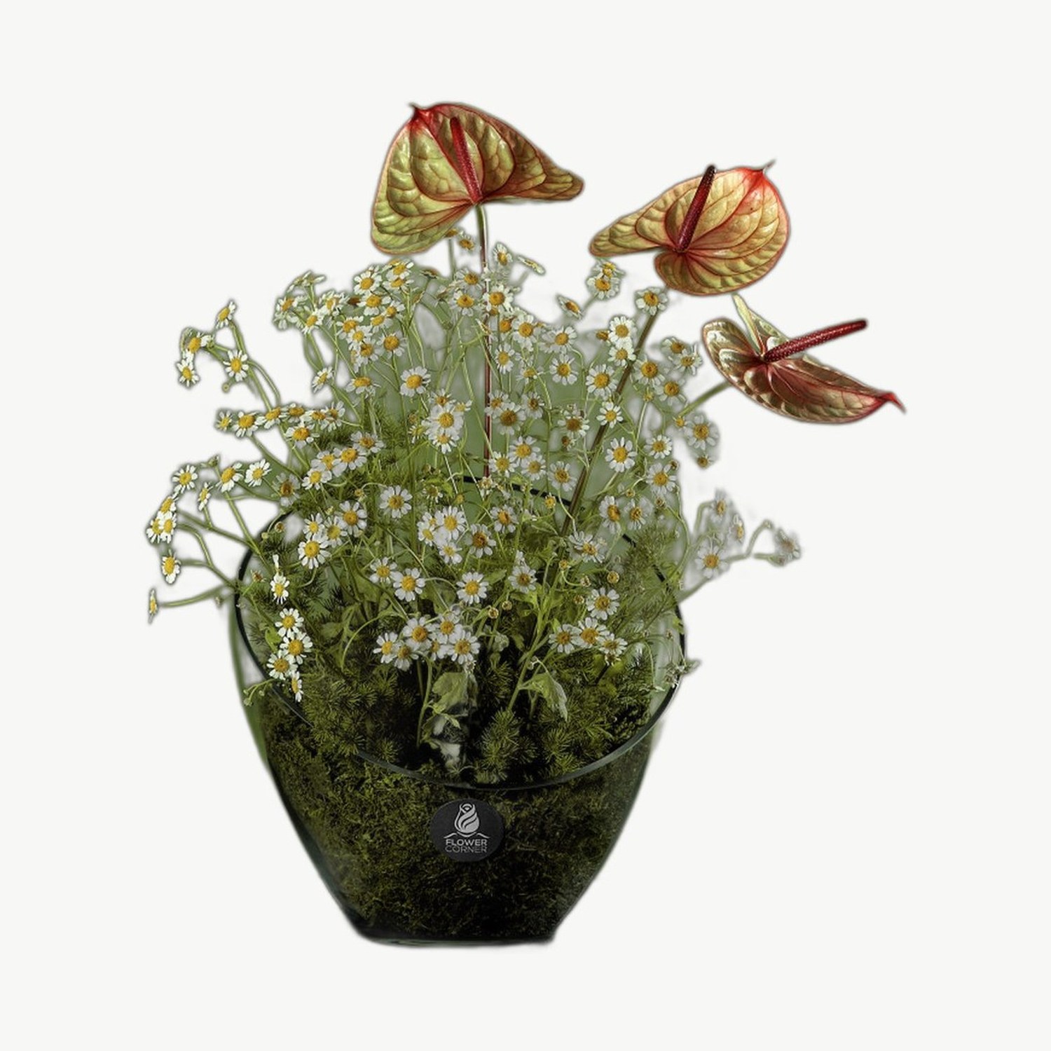 Orange Anthurium Vase