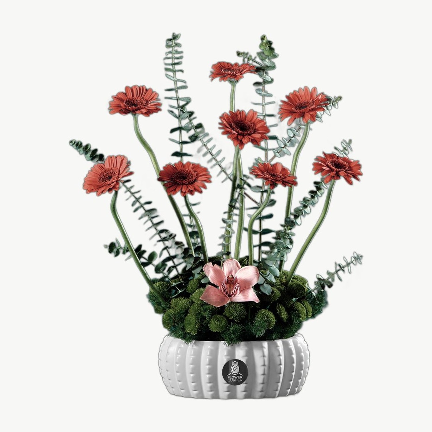 Orange Gerbera Vase