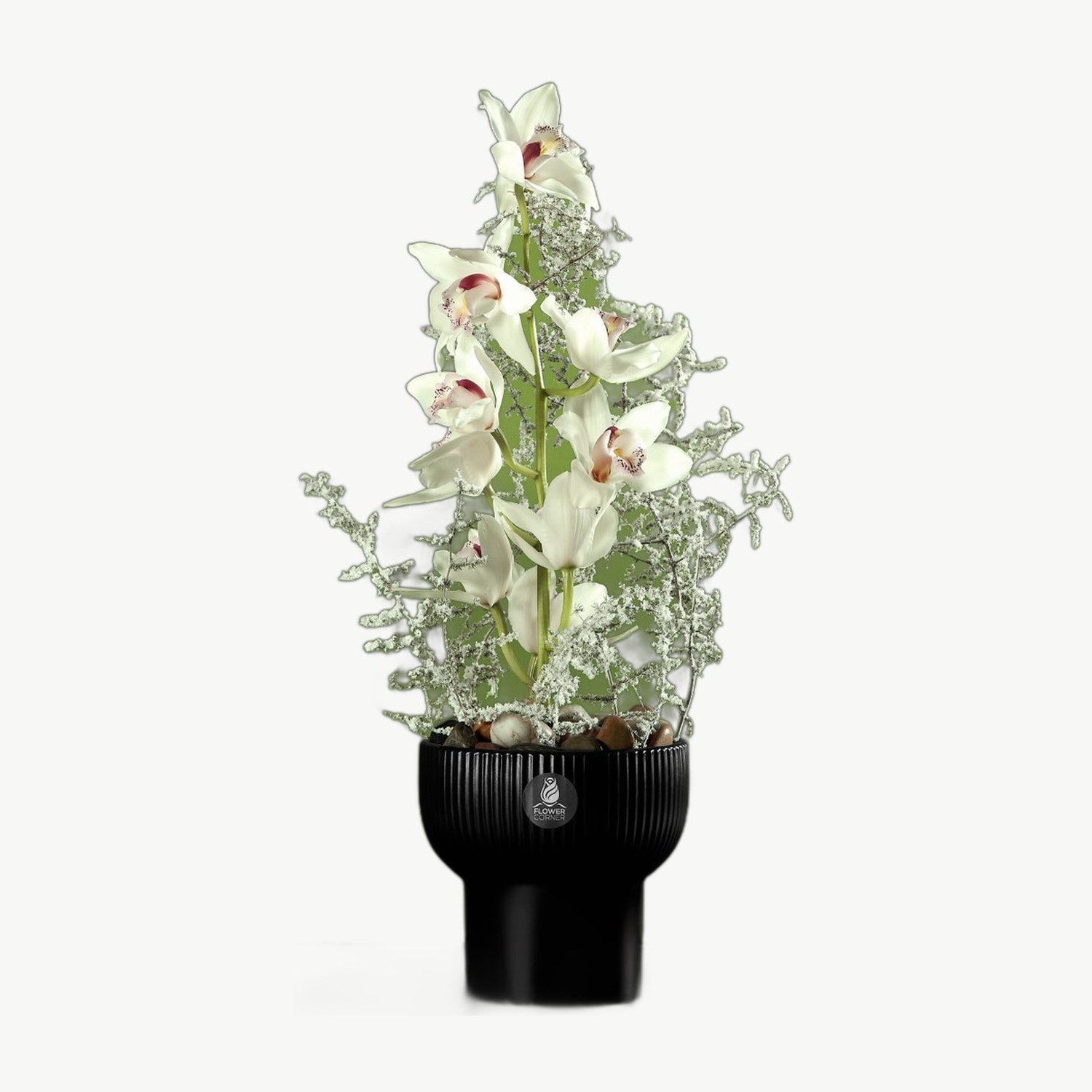 White Orchid Pot