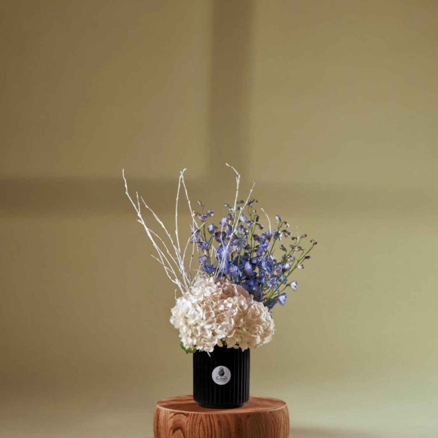 Delphinium Tips: How to Care for These Stunning Flowers