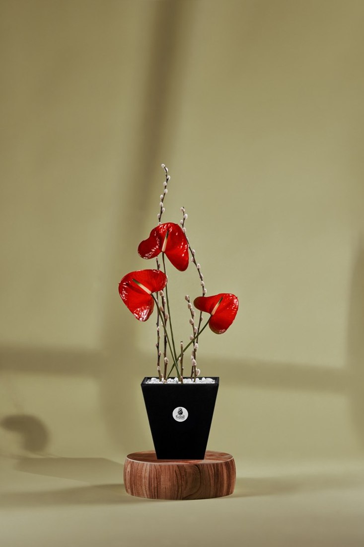 Scarlet Serenity Ensemble — Studio Series arrangement by Flower Corner, Sharjah