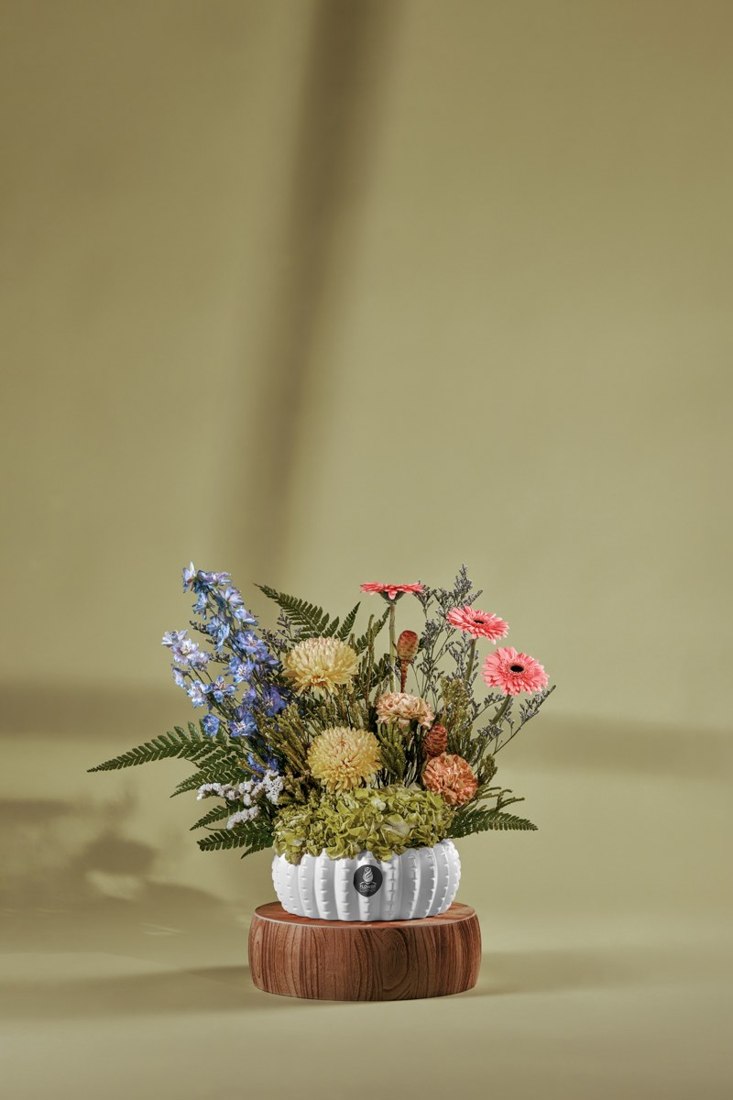 Coral & Blue Garden Vase — Studio Series arrangement by Flower Corner, Sharjah
