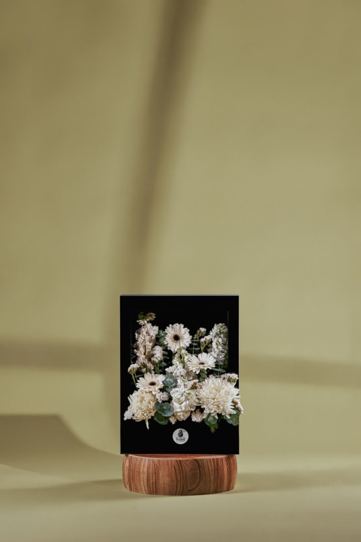 Ivory Gerbera and Chrysanthemum Acrylic Flower Window — Studio Series arrangement by Flower Corner, Sharjah