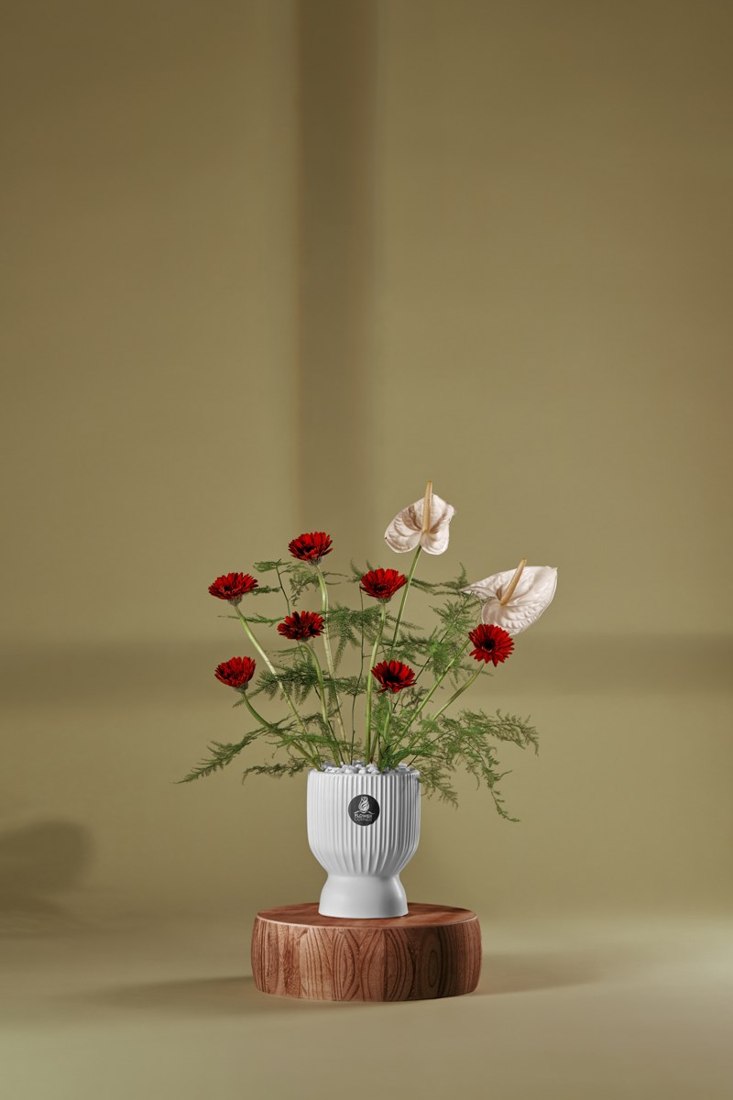 Crimson & Blush Anthurium Vase — Studio Series arrangement by Flower Corner, Sharjah
