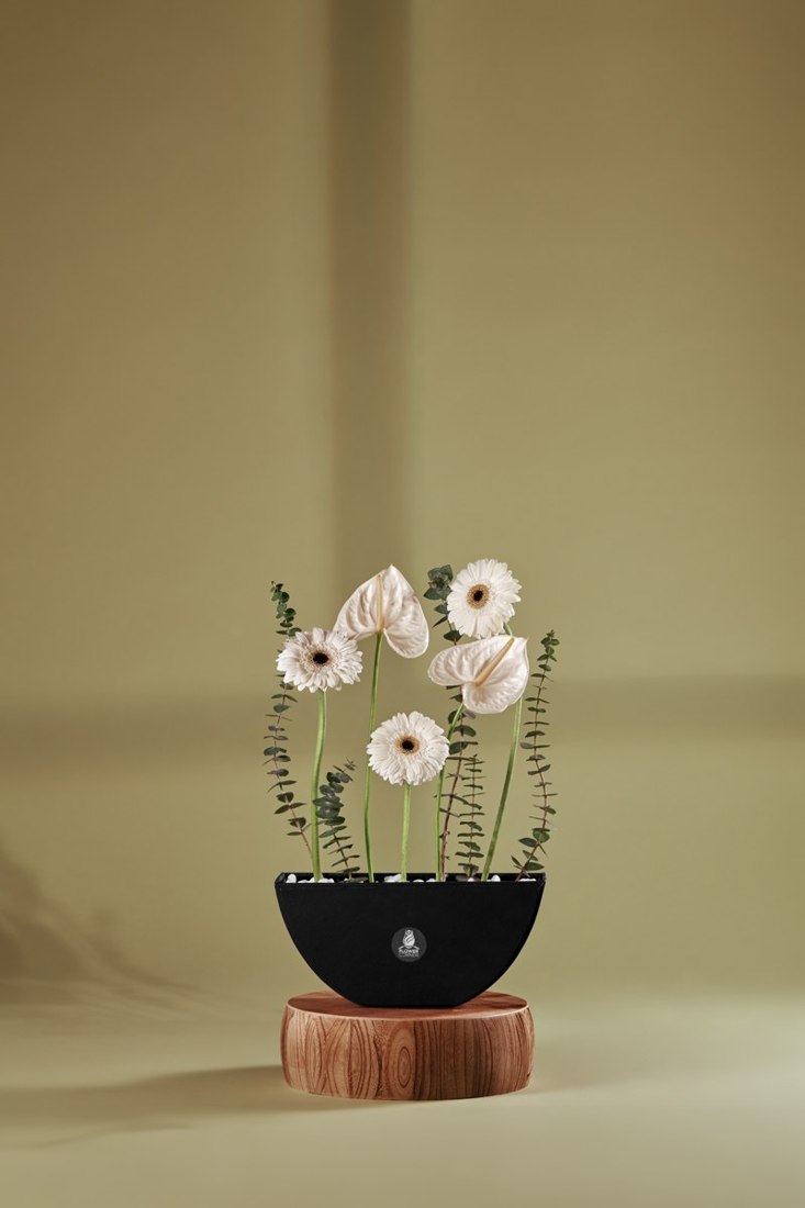 Ivory Gerbera & Anthurium Ceramic Bowl — Studio Series arrangement by Flower Corner, Sharjah