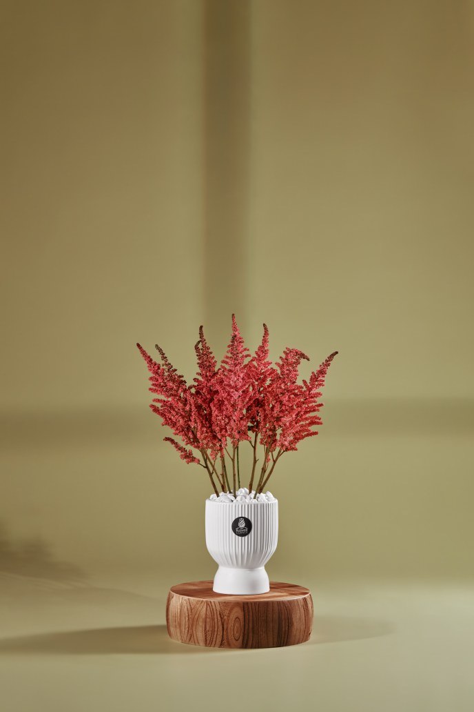 Coral Astilbe Botanical Vase — Studio Series arrangement by Flower Corner, Sharjah