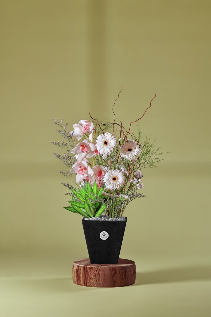 Orchid & Gerbera Delight — Studio Series arrangement by Flower Corner, Sharjah