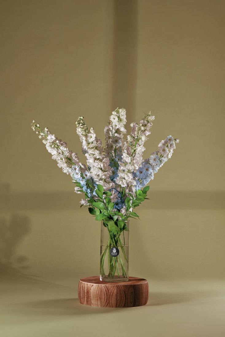 Blue & White Delphinium Vase — Studio Series arrangement by Flower Corner, Sharjah