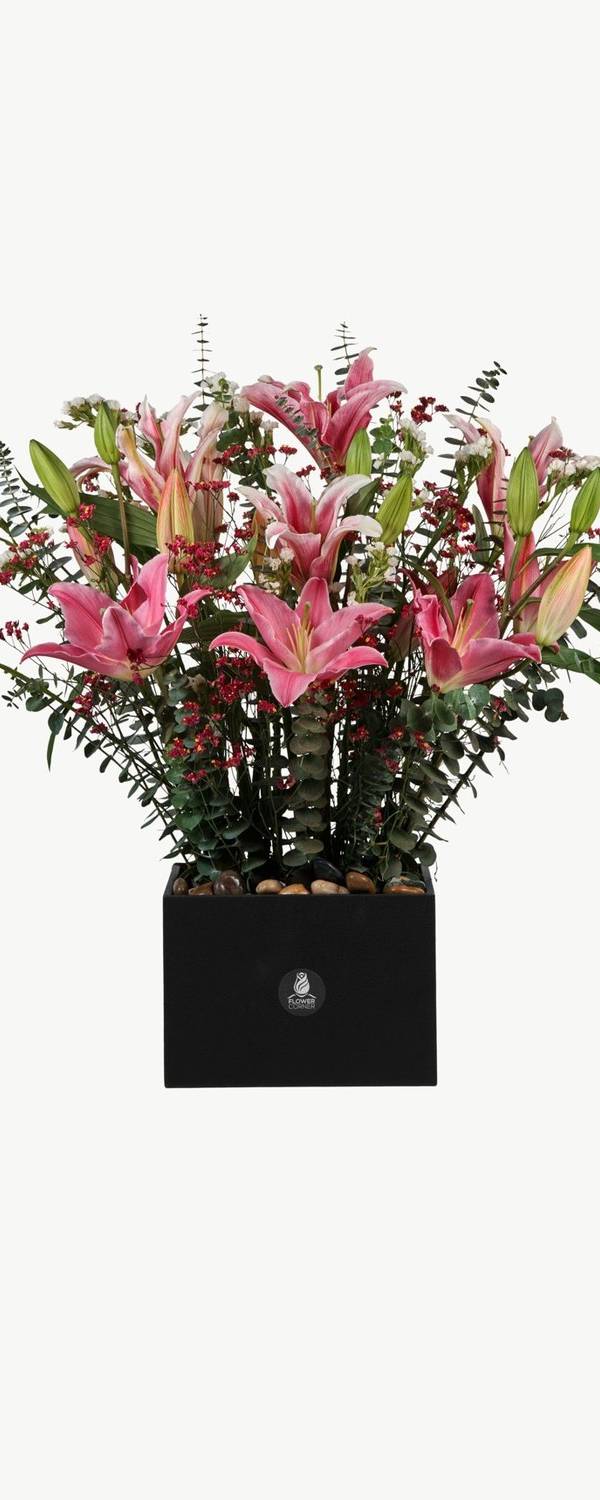 Stargazer Lily Box