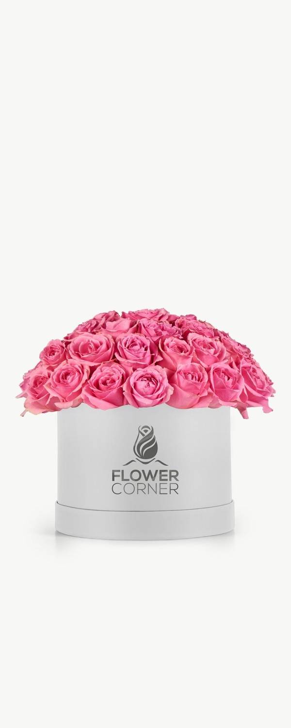 Blush Rose Dome