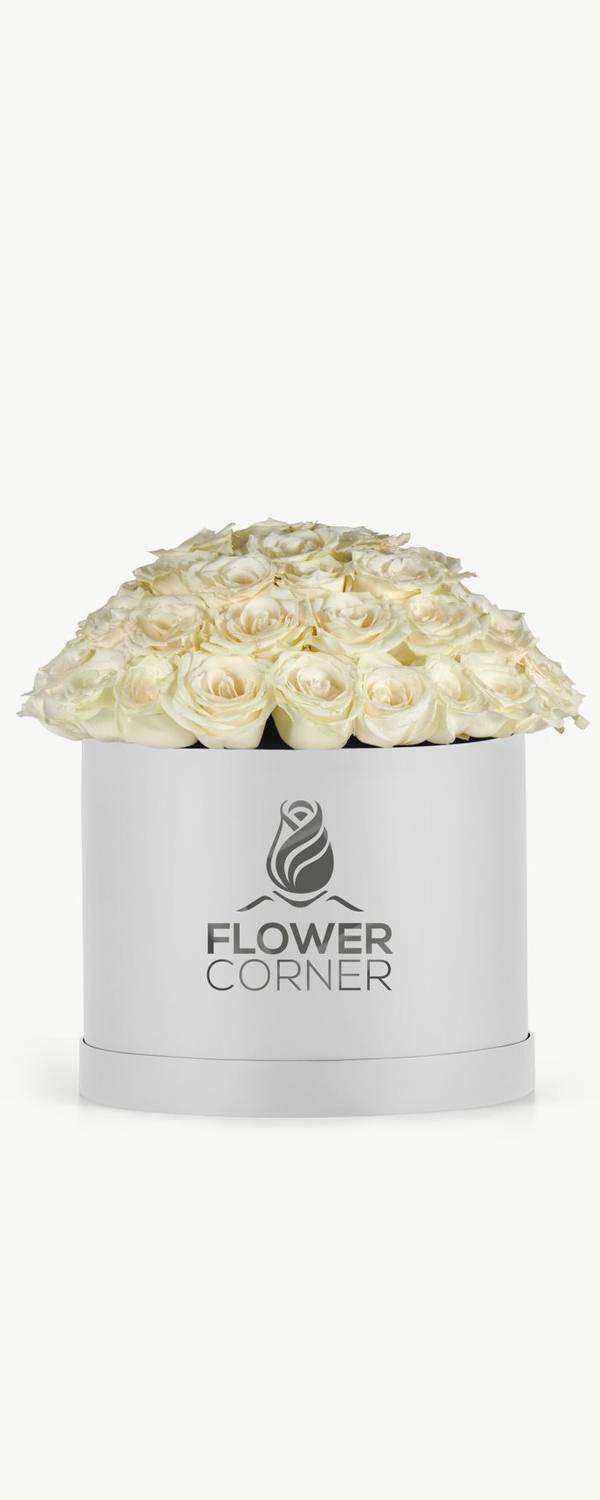 Ivory Rose Dome