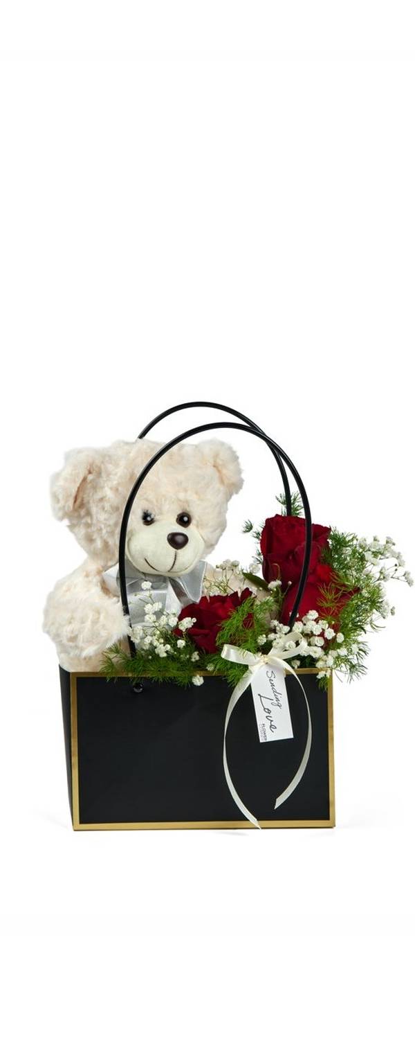 Teddy & Roses Gift Bag