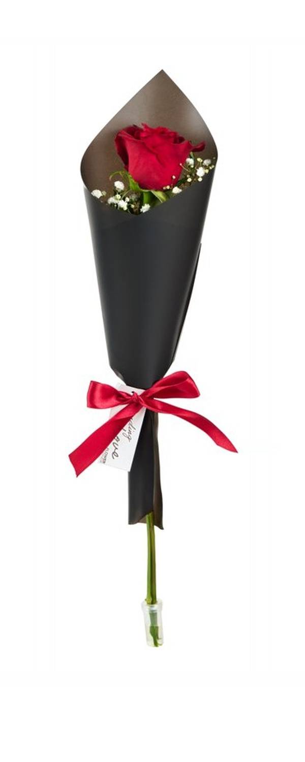 Single Red Rose Cone