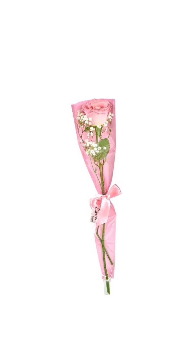 Single Pink Rose Cone