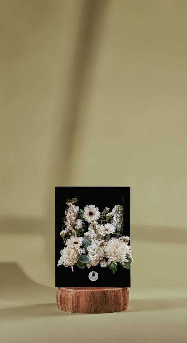 Ivory Gerbera and Chrysanthemum Acrylic Flower Window