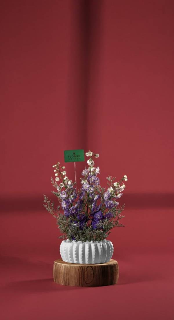 Purple Delphinium in White Ceramic Vase
