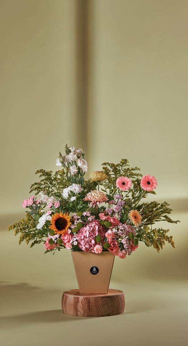Peach & Pink Serenade