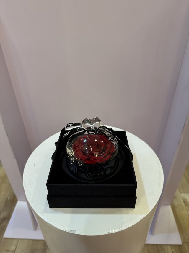 Forever Rose Glass Dome — Red Mini