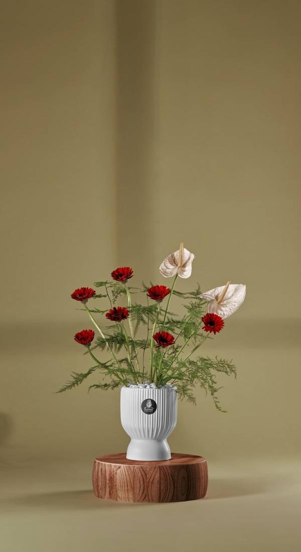 Crimson & Blush Anthurium Vase
