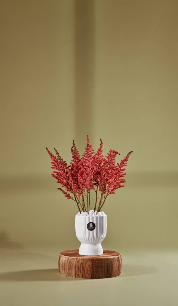 Coral Astilbe Botanical Vase