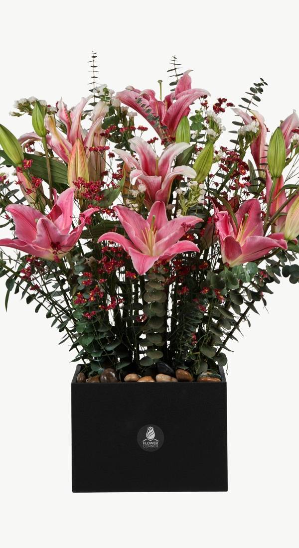 Pink Lily Garden Box
