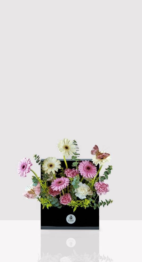 Pink & Cream Gerbera Acrylic Flower Frame