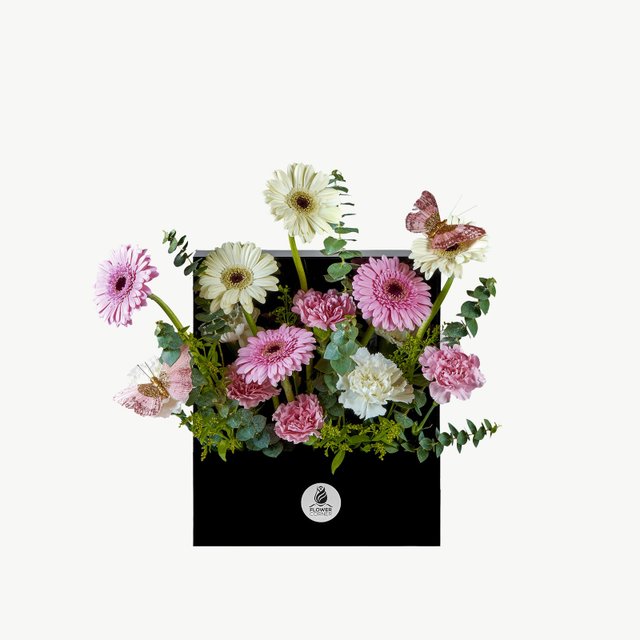 Pink & Cream Gerbera Acrylic Flower Frame