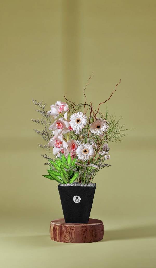 Orchid & Gerbera Delight
