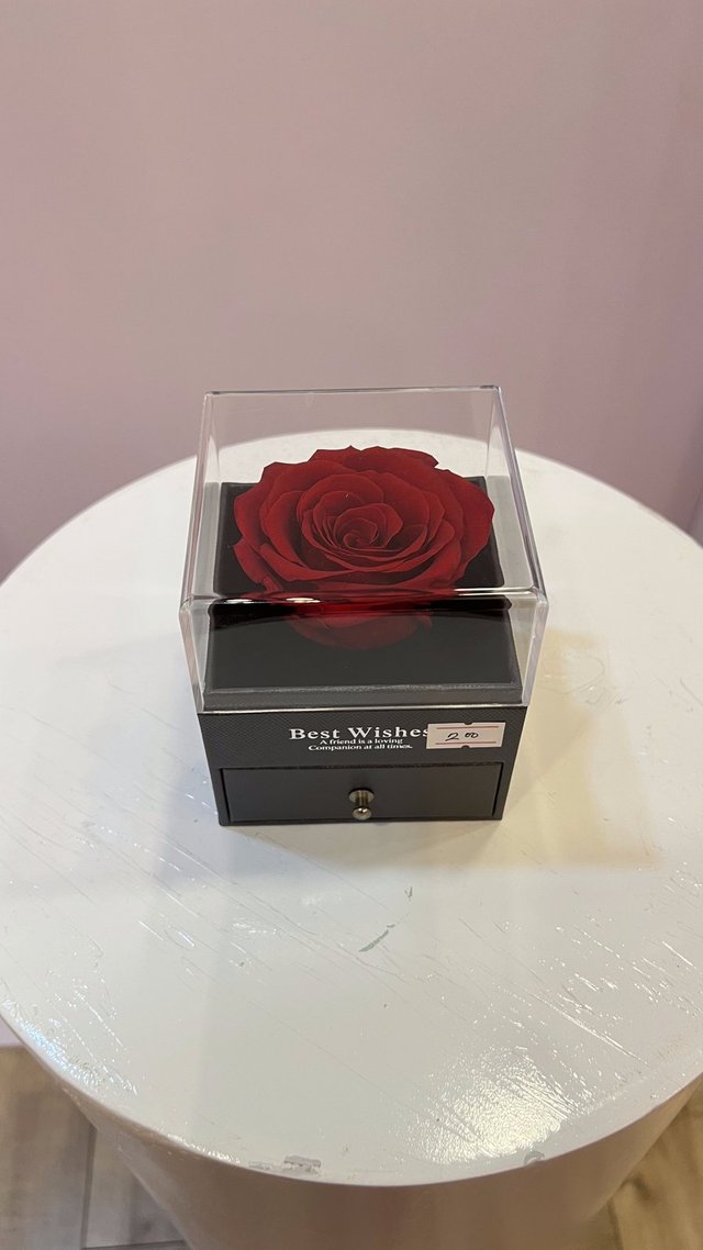 Forever Rose Acrylic Cube — Red Mini