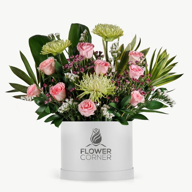 Blush Anthurium Box