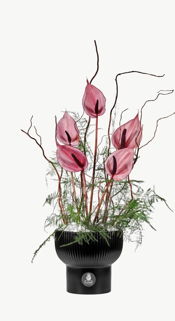 Pink Anthurium Black Vase